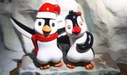 企鹅吃瓜免费,揭秘动物界的趣味生活瞬间